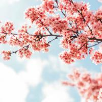 做一个懂生活的人