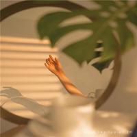 愿我们得不到的都能释怀感悟爱情伤感语录说说精选