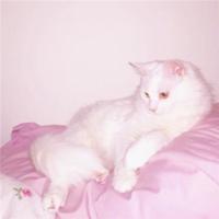 生命存在的时候