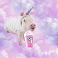 只要有爱 天天都是情人节