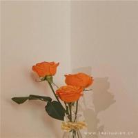 请善待自己，因为零件不好配