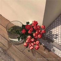 张爱玲经典语录50句，50句的语录、50句的悲伤！