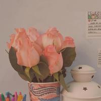 你是我的蓝颜知己，我做你的红粉佳人