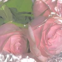 成熟睿智男人的100个原则(2)