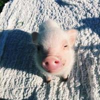 真实事件 工厂宿舍遇鬼