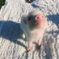 把微笑留给自己