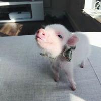 100句努力奋斗的名言警句