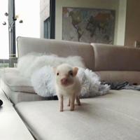 爆笑的社会生活冷幽默