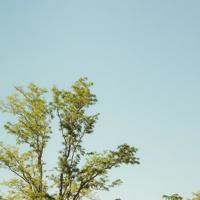 低到尘埃里开花