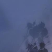 关于道德的名言大全_道德短句