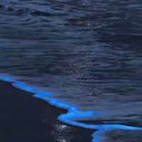 玩弄村里的成熟村妇 时镜贫僧佛堂肉车