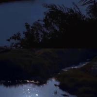 让生命充满爱[有视频让人震撼感动]