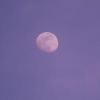 女孩伤感带字图片_阳光下女孩的身影