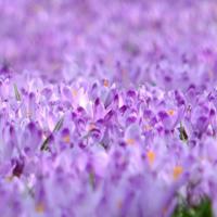 结婚十年才恍然大悟：“逃避”婆媳矛盾，何尝不是一种解脱