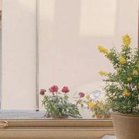 早安唯美的句子短句：早安短句