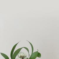 有梦就去追梦想终会实现的心灵禅语励志说说大全