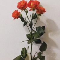 原来，爱情有两个模样