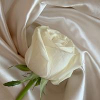 郁闷的心情短语,郁闷的个性签名