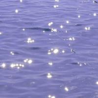 那些年,我们孩子;这些年,我们在长大