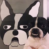 我想要和妳一起慢慢变老。追女孩的说说