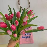 再也没有人像你那么爱我