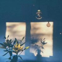 经典美文摘抄:没有人可以永远活在回忆里