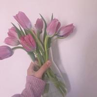 关于安全的名言，关于安全的名言警句