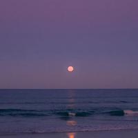 走不出去的楼梯间