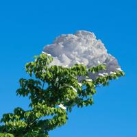 马云+牛根生+史玉柱经典语录!