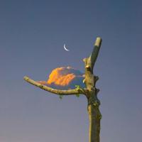 大众鬼故事之楼顶的婆婆