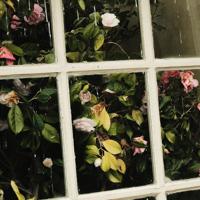 公公和儿媳妇 乱肥臀老妇梅开二度