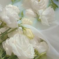 100句激发潜能的励志名言