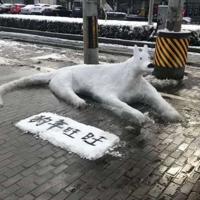 特朗普当选美国总统！八大因素令他笑到最后