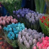 最感人的一句话,最感人的一段话