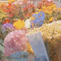 某某人超搞笑的日记