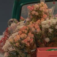 郭敬明经典的爱情语录