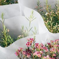 十三讲故事之诡异的学校