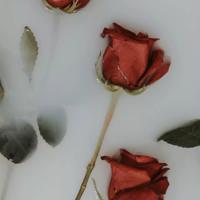 席慕容经典语录 席慕容的经典句子