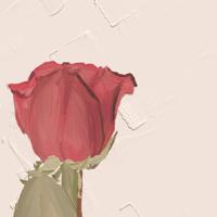 这一夏的温晴,是你给我的最好诠释。