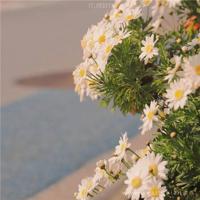 3.14白色情人节一段简短而深情的告白情话说说精选
