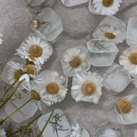 那些回不去的年少时光