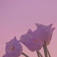 民间算命的冷笑话