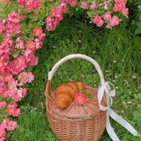 MM买裤子杀价的过程,超级搞笑