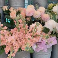 阳光里的母亲-相隔千万里的爱