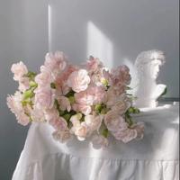 婚姻的角度决定幸福的高度