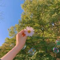 春风中的那些花、那些记忆