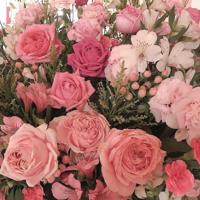 与孤独相伴的句子说说心情语录:生活就是这样,难免会有一个人