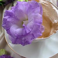 世上总有一颗心在期待呼唤着另一颗心。