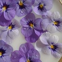 下一个轮回，请让我娶你