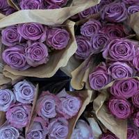 形容心情不好的句子,表达心情不好的句子